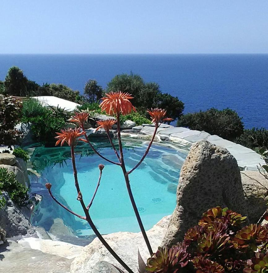 Logement De Charme Avec Piscine Privative Pino 外观 照片