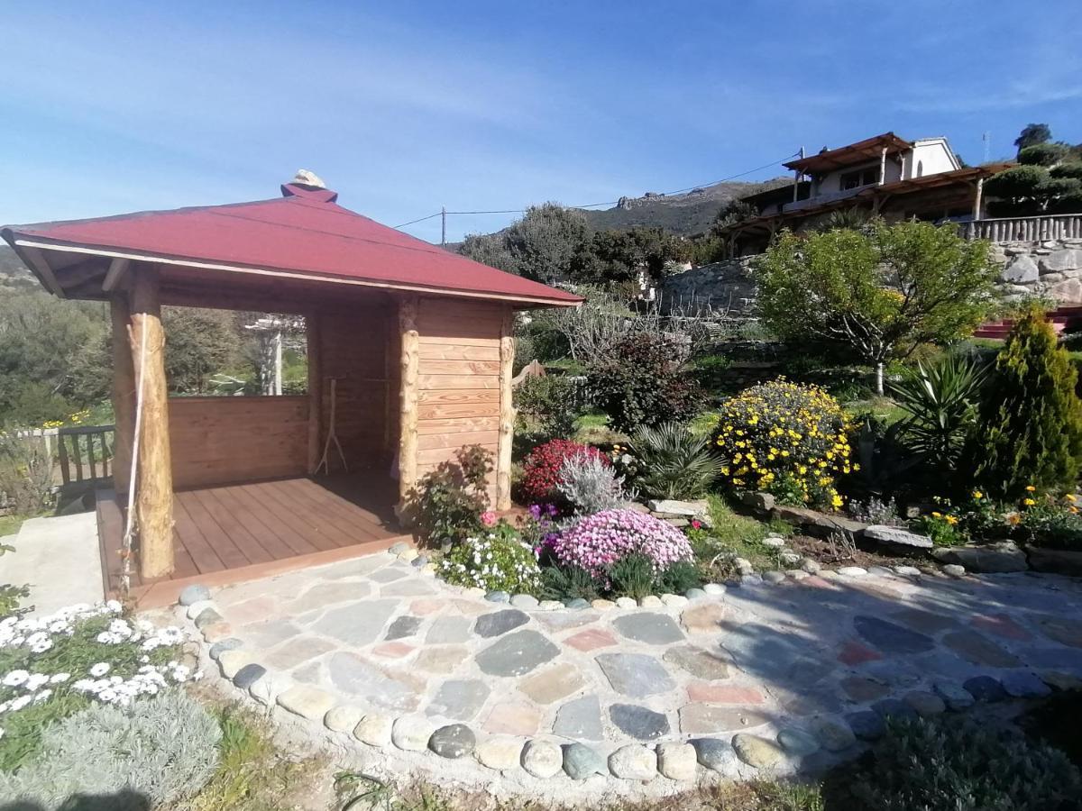 Logement De Charme Avec Piscine Privative Pino 外观 照片
