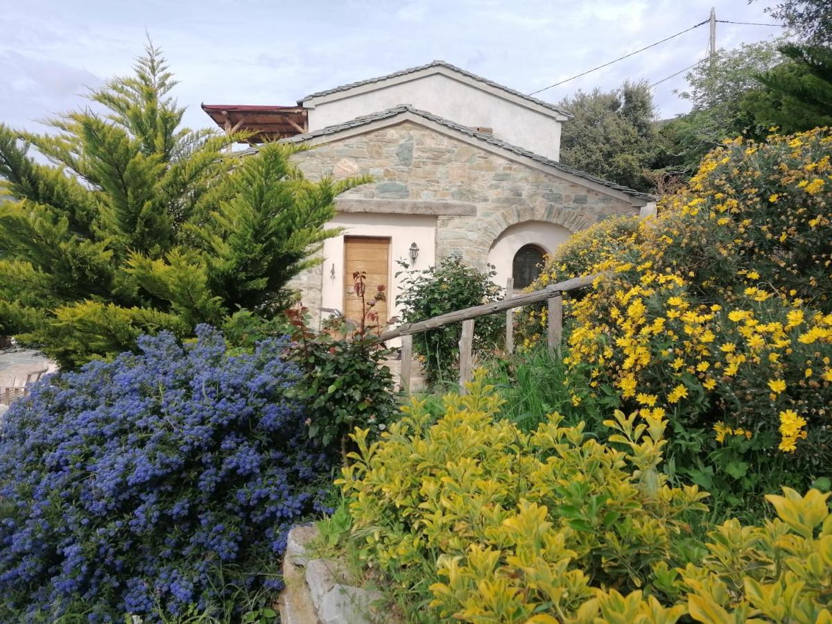 Logement De Charme Avec Piscine Privative Pino 外观 照片